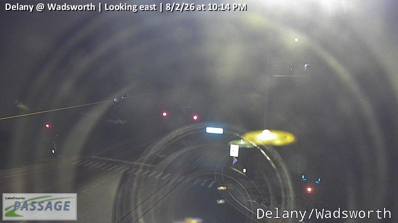 Delany at Wadsworth