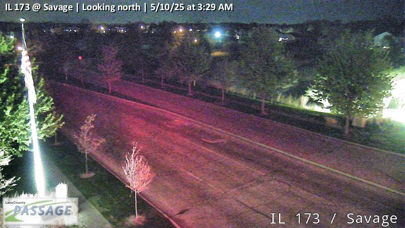 camera snapshot for IL 173 at Savage