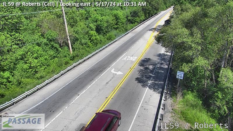 Traffic Cam IL 59 at Roberts (Cell)